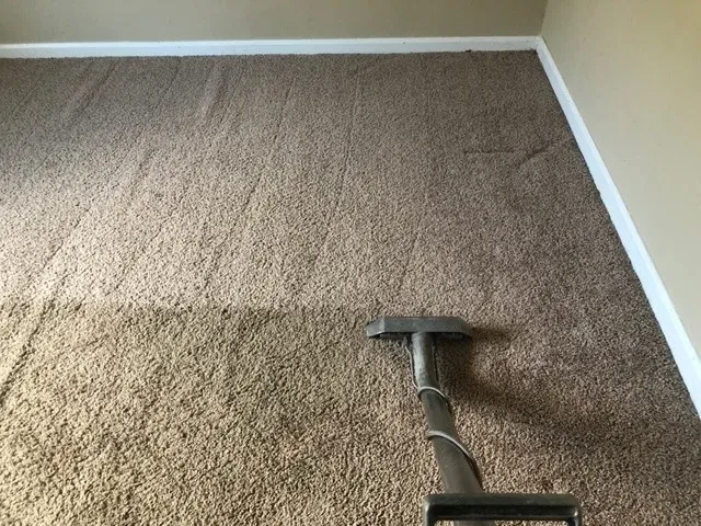 Hot-water extraction wand cleaning a section of beige carpet.
